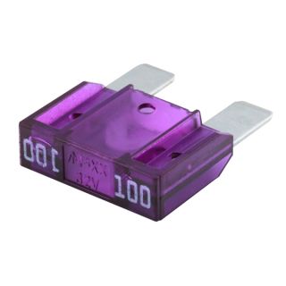2 MAXI FUSES 100Amp