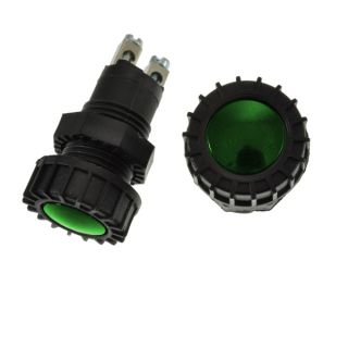 TEMOIN VERT 12V